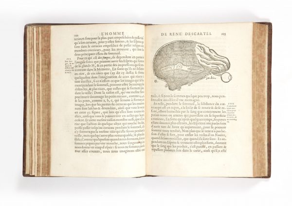 <span class="artist-name-product">DESCARTES  René</span> L'Homme, et un traité de la formation du foetus du mesme autheur. Avec les remarques de Louys de La Forge. - Image 6