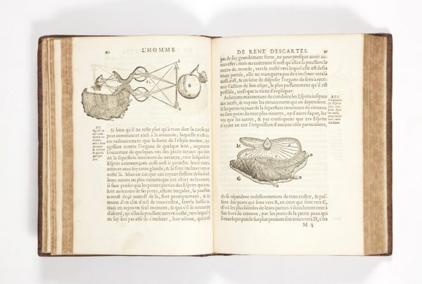 <span class="artist-name-product">DESCARTES  René</span> L'Homme, et un traité de la formation du foetus du mesme autheur. Avec les remarques de Louys de La Forge. - Image 7