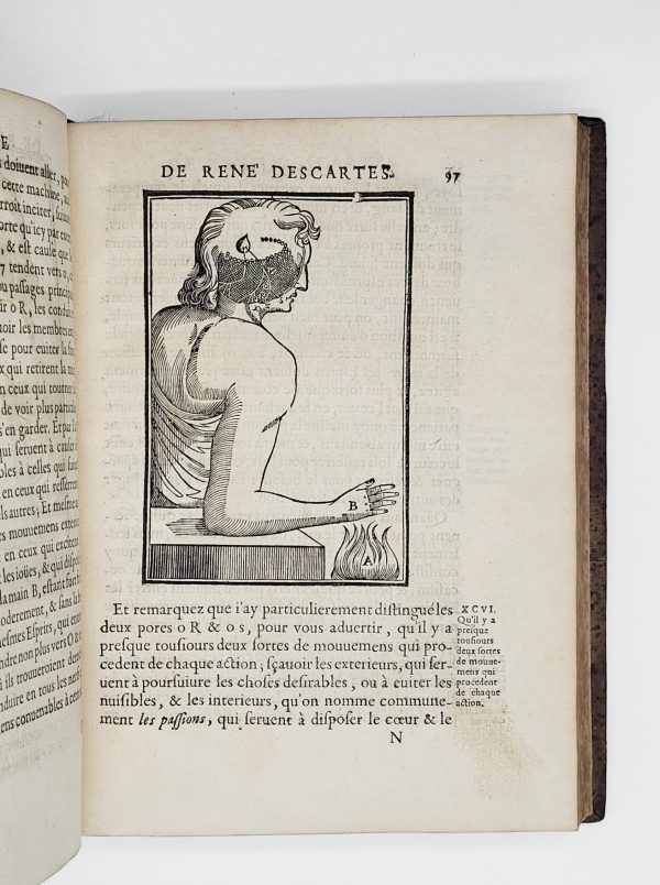 <span class="artist-name-product">DESCARTES  René</span> L'Homme, et un traité de la formation du foetus du mesme autheur. Avec les remarques de Louys de La Forge. - Image 8