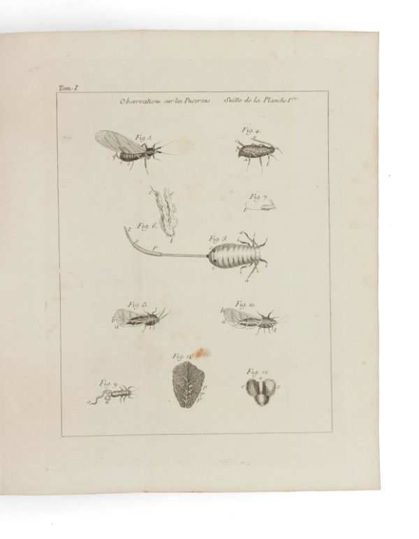 <span class="artist-name-product">BONNET  Charles</span> OEuvres d'histoire naturelle et de philosophie. – Image 4