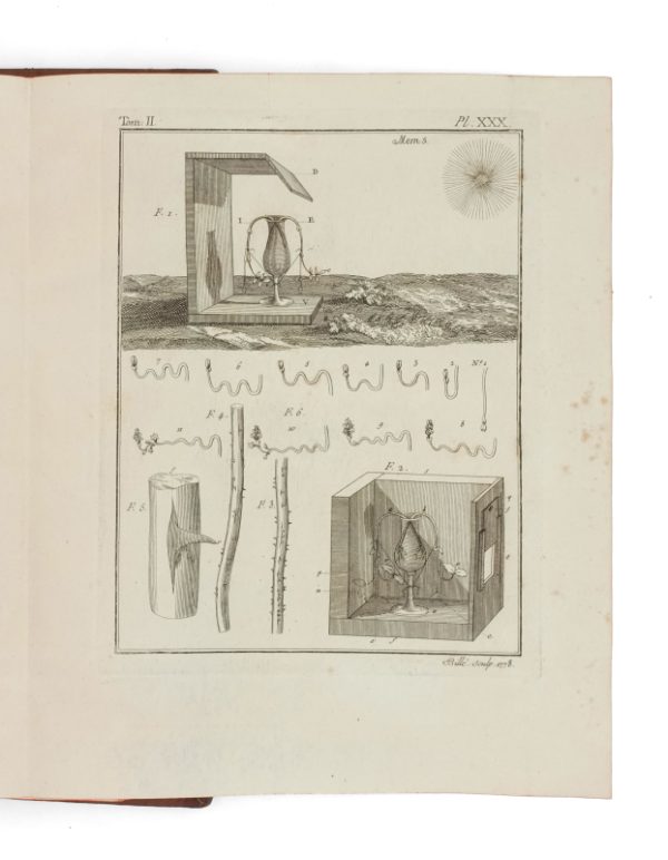 <span class="artist-name-product">BONNET  Charles</span> OEuvres d'histoire naturelle et de philosophie. – Image 5