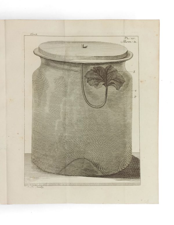 <span class="artist-name-product">BONNET  Charles</span> OEuvres d'histoire naturelle et de philosophie. – Image 6