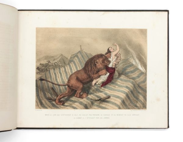 <span class="artist-name-product">GÉRARD Jules</span> Les Chasses d'Afrique.
