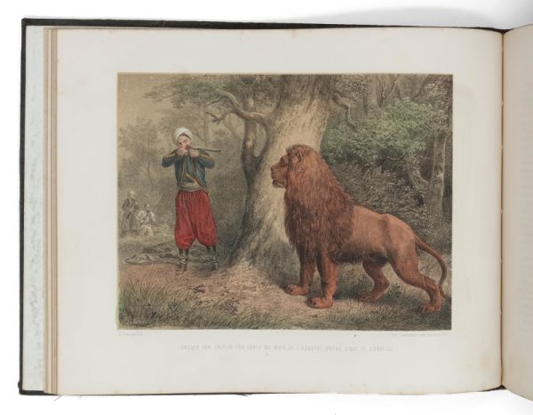 <span class="artist-name-product">GÉRARD Jules</span> Les Chasses d'Afrique. – Image 3