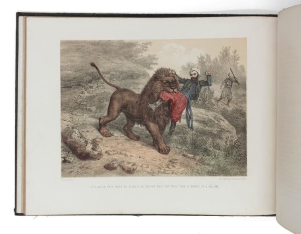 <span class="artist-name-product">GÉRARD Jules</span> Les Chasses d'Afrique. – Image 4