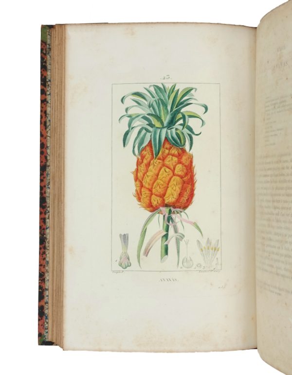 <span class="artist-name-product">CHAUMETON  François Pierre</span> Flore médicale. [Et:] Iconographie Végétale ou Organisation des végétaux. Illustrée au moyen de figures analytiques par. P.J.F. Turpin.