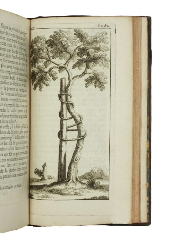<span class="artist-name-product">ANDRY DE BOISREGARD Nicolas</span> L'Orthopédie ou l'Art de prévenir et de corriger dans les enfans les difformités du corps. - Image 3
