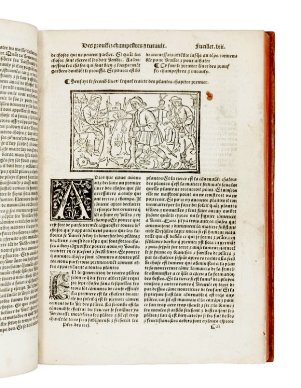 <span class="artist-name-product">CRESCENS  Pierre de</span> Le Livre des Prouffitz Champestres et Ruraulx. Touchant le labour des champs, vignes et jardins. Pour faire puys, fontaines, cysternes, maisons, et autres edifices. – Image 4