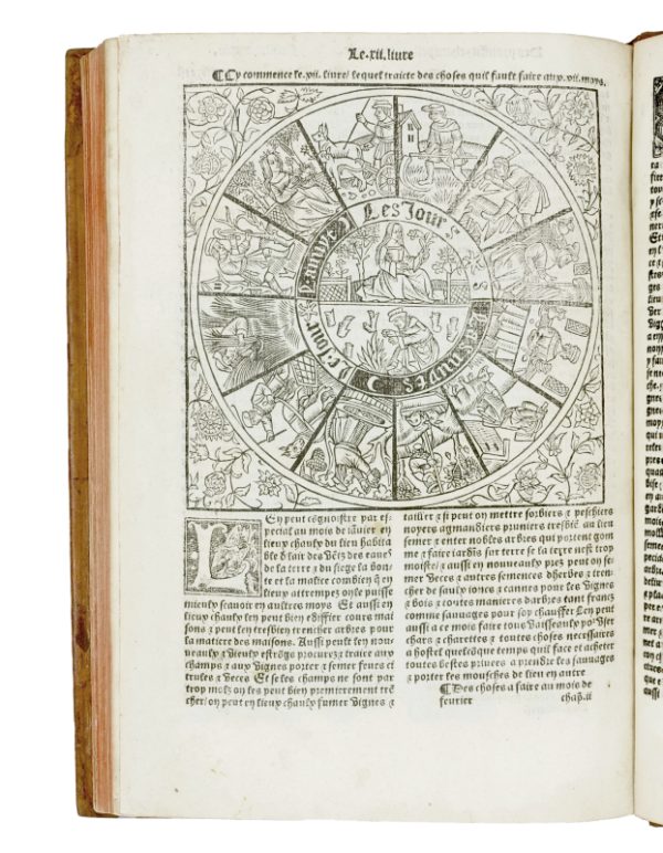 <span class="artist-name-product">CRESCENS  Pierre de</span> Le Livre des Prouffitz Champestres et Ruraulx. Touchant le labour des champs, vignes et jardins. Pour faire puys, fontaines, cysternes, maisons, et autres edifices. – Image 7