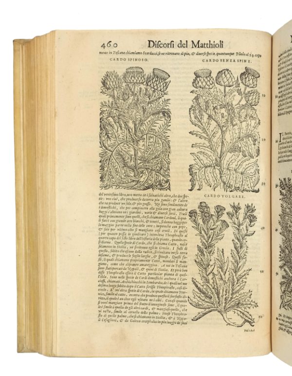 <span class="artist-name-product">MATTIOLI  Pietro Andrea</span> I discorsi nelli sei libri di Pedacio Dioscoride Anazarbeo della materia medicinale.