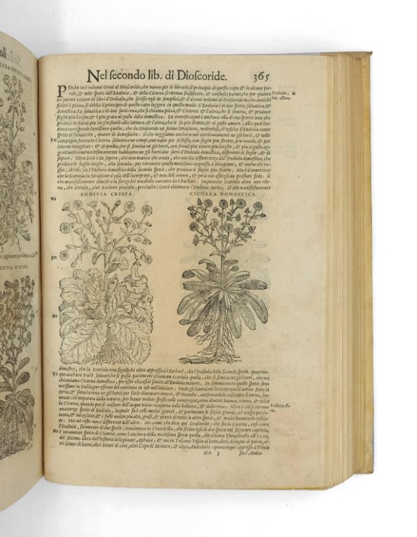 <span class="artist-name-product">MATTIOLI  Pietro Andrea</span> I discorsi nelli sei libri di Pedacio Dioscoride Anazarbeo della materia medicinale. – Image 3