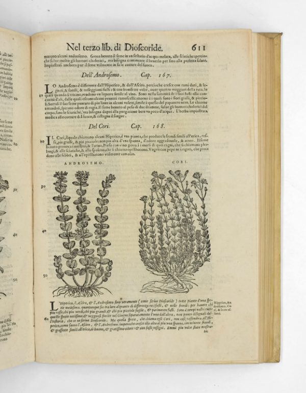 <span class="artist-name-product">MATTIOLI  Pietro Andrea</span> I discorsi nelli sei libri di Pedacio Dioscoride Anazarbeo della materia medicinale. – Image 5