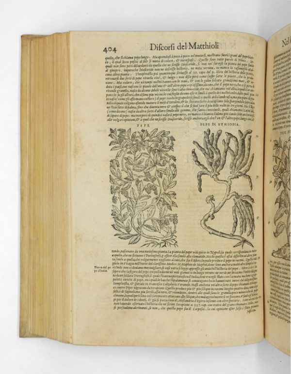<span class="artist-name-product">MATTIOLI  Pietro Andrea</span> I discorsi nelli sei libri di Pedacio Dioscoride Anazarbeo della materia medicinale. – Image 6