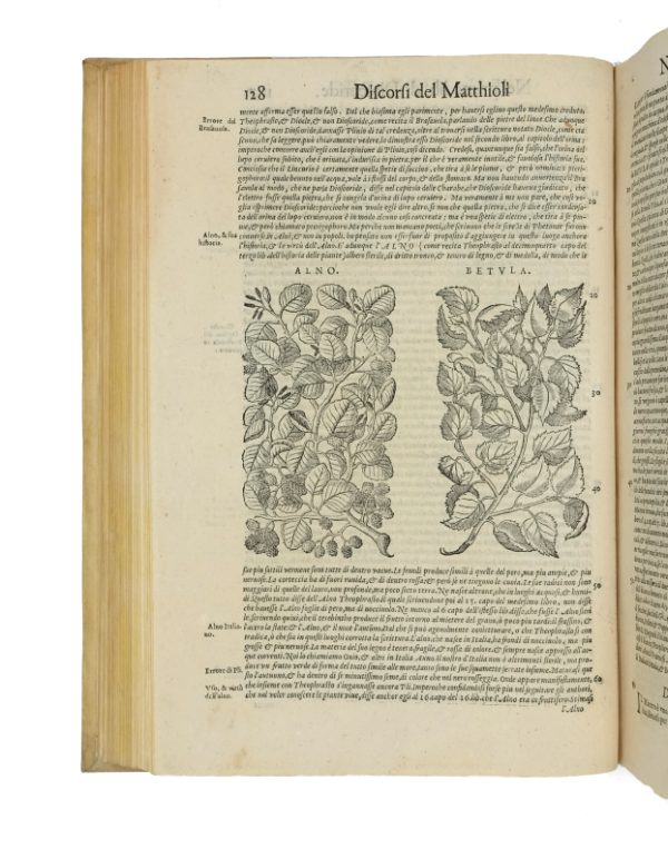 <span class="artist-name-product">MATTIOLI  Pietro Andrea</span> I discorsi nelli sei libri di Pedacio Dioscoride Anazarbeo della materia medicinale. – Image 7