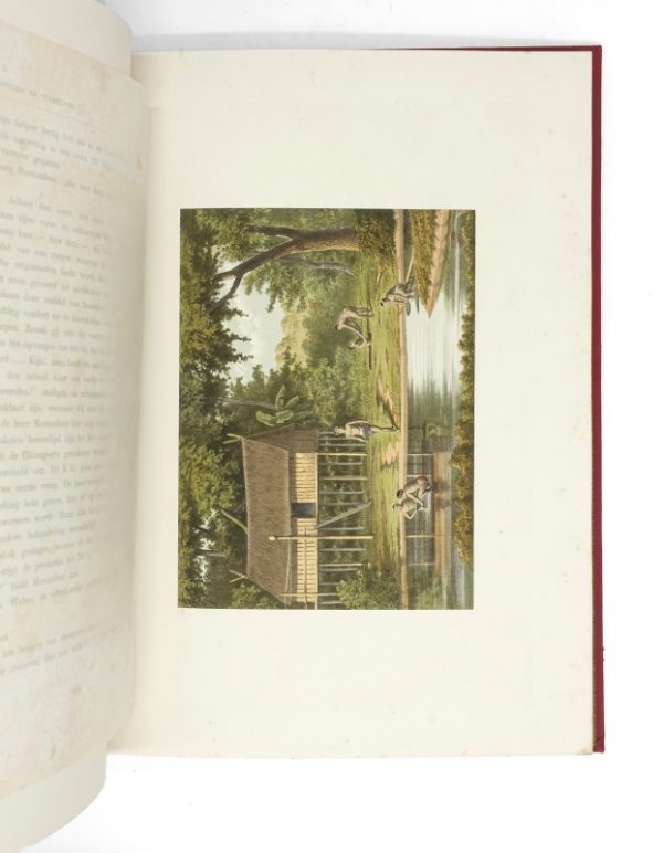 <span class="artist-name-product">VAN REES Willem Adriaan</span> Nederlandsch Indie. Teekeningen van Jhr. C. Rappard. – Image 3