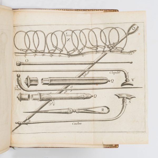 <span class="artist-name-product">ARCUSSIA  Charles d'</span> La Fauconnerie. Divisée en dix parties. Avec les portraicts au naturel de tous les oyseaux. [Suivie de:]- Lettres de Philoierax à Philofalco. Où sont contenus les maladies des oyseaux, & les remède pour les guérir. - La Fauconnerie du roi. Avec la conférence des fauconniers.- Discours de chasse. Où sont représentez les vouls faits en une assemblée de fauconniers. – Image 4