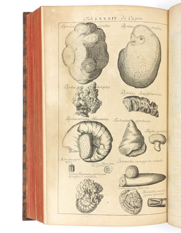 <span class="artist-name-product">SWEDENBORG Emanuel</span> Opera philosophica et mineralia. Tres tomi.- Principia rerum naturalium sive Novorum Tentaminum Phaenomena.- Regnum Subterraneum sive minerale de Cupro et Orchidalco.- Regnum subterraneum sive minerale de Ferro. – Image 5