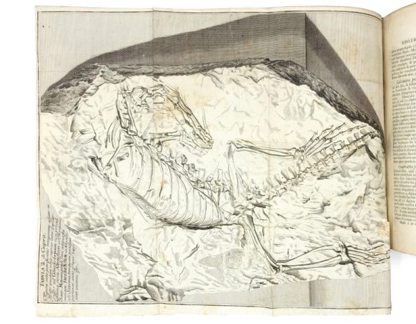 <span class="artist-name-product">SWEDENBORG Emanuel</span> Opera philosophica et mineralia. Tres tomi.- Principia rerum naturalium sive Novorum Tentaminum Phaenomena.- Regnum Subterraneum sive minerale de Cupro et Orchidalco.- Regnum subterraneum sive minerale de Ferro. – Image 9