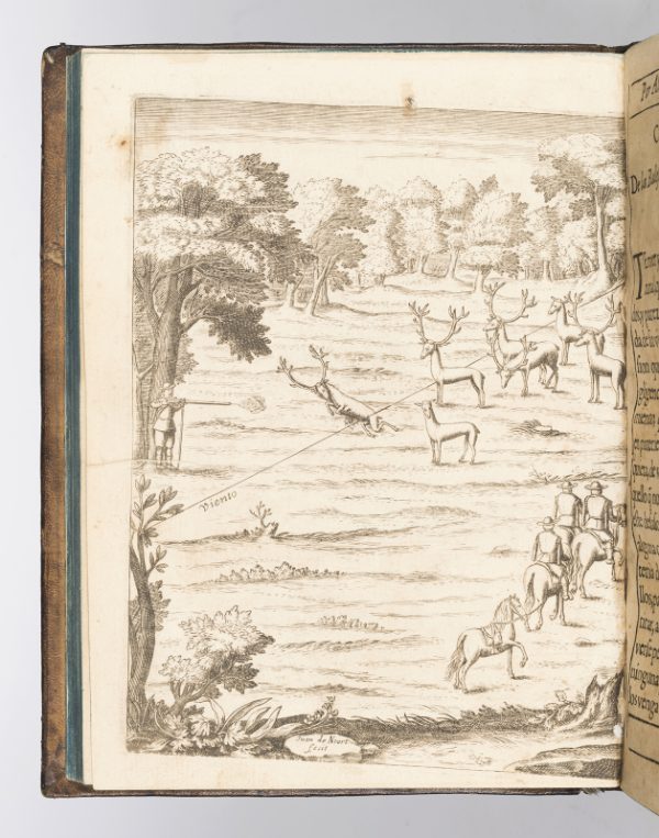 <span class="artist-name-product">MARTINEZ DE ESPINAR  Alonso</span> Arte de ballesteria, y monteria, escrita con metodo, para escusar la fatiga, que ocasiona la ignorancia : dividida in tres libros. – Image 4