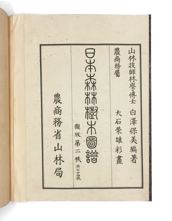 <span class="artist-name-product">SHIRASAWA Yasuyoshi, Homi</span> Iconographie des essences forestières du Japon – Image 2