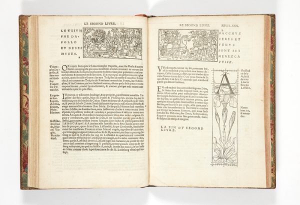 <span class="artist-name-product">TORY  Geoffroy</span> Champfleury. Au quel est contenu Lart & Science de la deue & vraye Proportion des Lettres Attiques, quon dit autrement lettres antiques, & vulgairement lettres romaines proportionnees selon le corps et visage humain. – Image 3