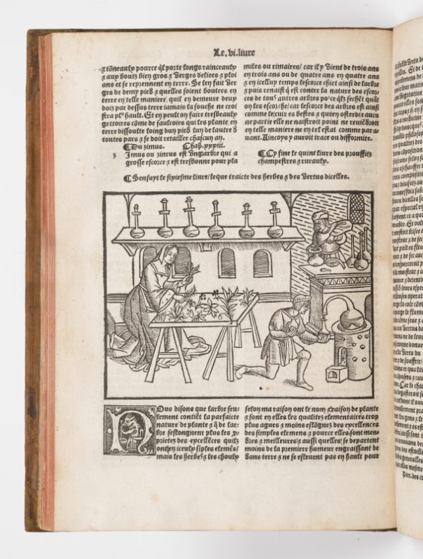 <span class="artist-name-product">CRESCENS  Pierre de</span> Le Livre des Prouffitz Champestres et Ruraulx. Touchant le labour des champs, vignes et jardins. Pour faire puys, fontaines, cysternes, maisons, et autres edifices. – Image 6