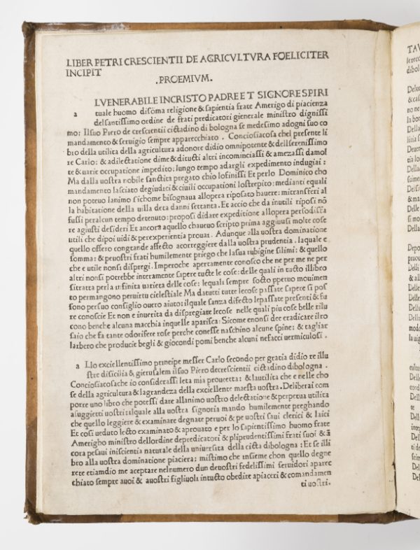 <span class="artist-name-product">CRESCENS  Pierre de</span> Ruralia commoda. Il libro della agricultura – Image 3