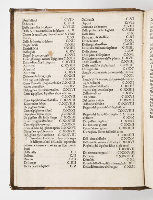<span class="artist-name-product">CRESCENS  Pierre de</span> Ruralia commoda. Il libro della agricultura – Image 4
