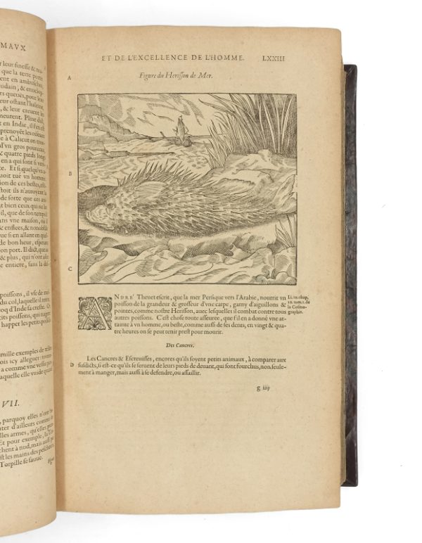 <span class="artist-name-product">PARE  Ambroise</span> Les Œuvres, divisées en huict livres. Quatrième édition. – Image 2