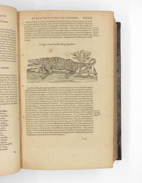 <span class="artist-name-product">PARE  Ambroise</span> Les Œuvres, divisées en huict livres. Quatrième édition. – Image 3