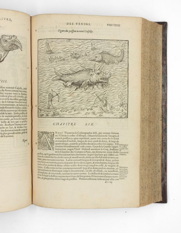 <span class="artist-name-product">PARE  Ambroise</span> Les Œuvres, divisées en huict livres. Quatrième édition. – Image 5