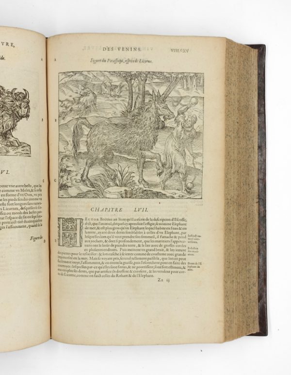 <span class="artist-name-product">PARE  Ambroise</span> Les Œuvres, divisées en huict livres. Quatrième édition. – Image 6