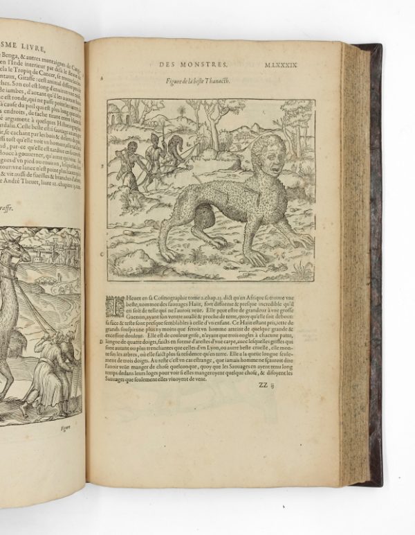 <span class="artist-name-product">PARE  Ambroise</span> Les Œuvres, divisées en huict livres. Quatrième édition. – Image 7